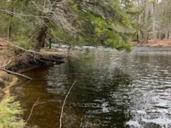 11-6 Clothespin Bridge Road, Webster, NH 03303