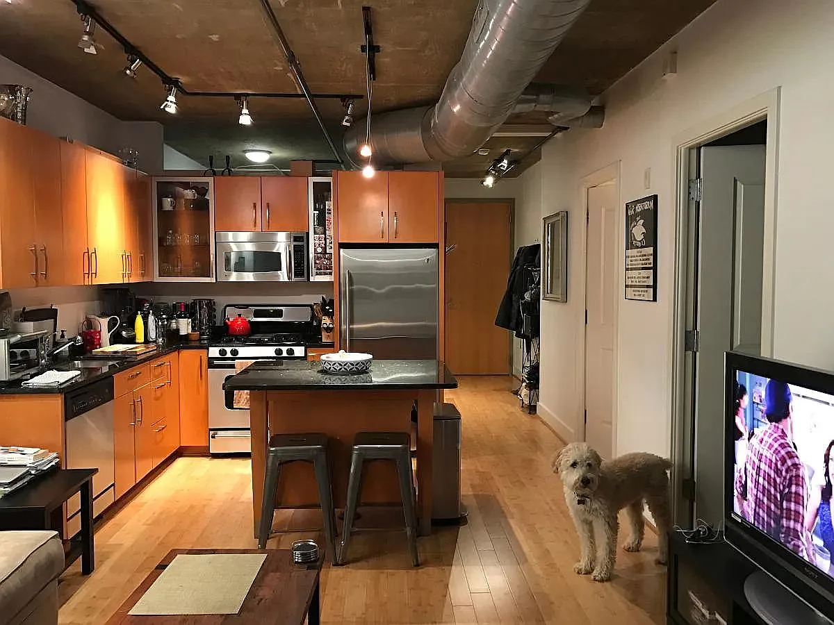1 bed, 850 sqft, $3,700 — Photo 1
