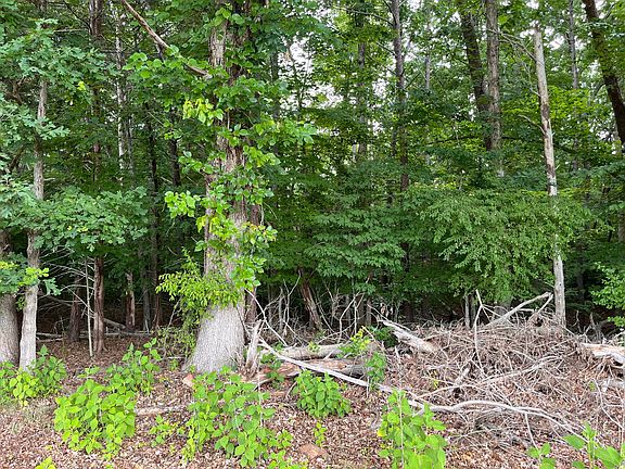5th image of 0 Parford Ln Tract 9