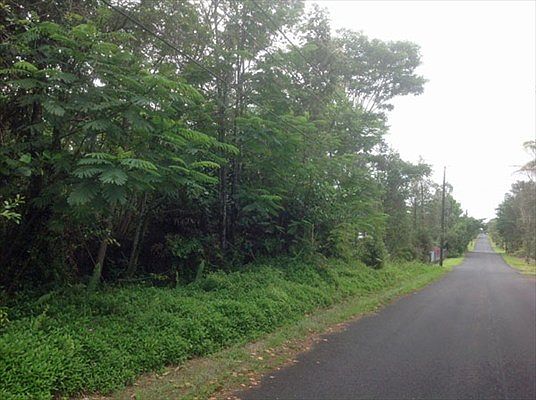 3rd image of 29th Ave Lot 573