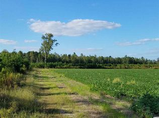 Old Georgetown Rd, Hemingway, SC 29554