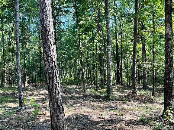 5th image of Mack Ln