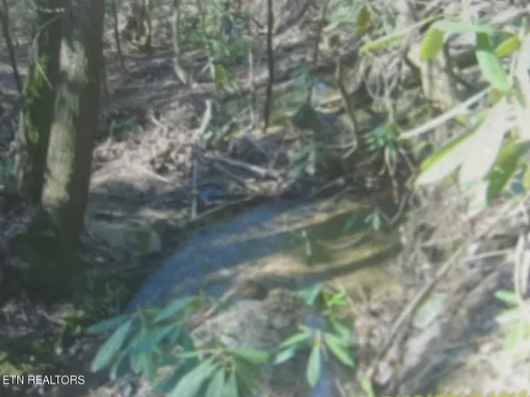 Rivendell Ln, Tellico Plains, TN 37385