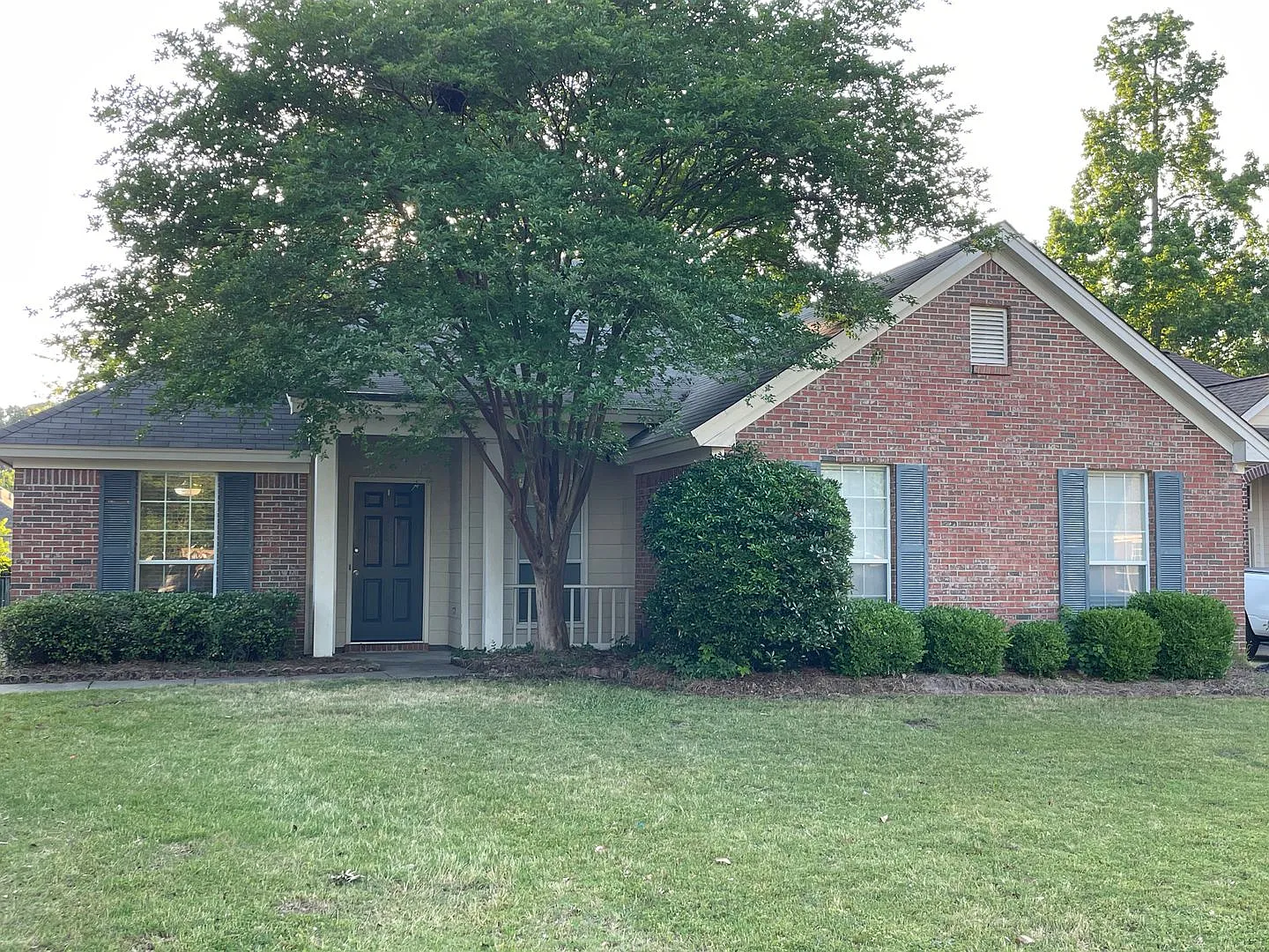 Ridge Park Dr 618 - Halcyon Summit — Photo 2