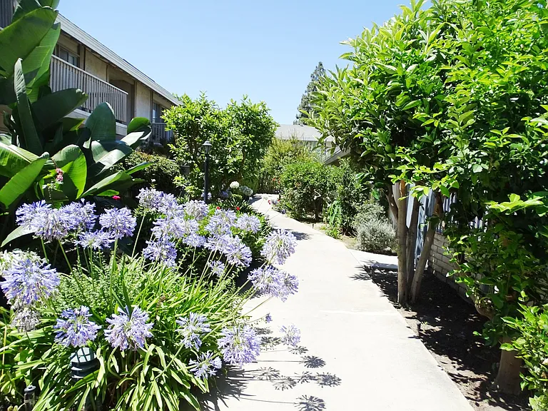 Alliance Ave — Photo 22