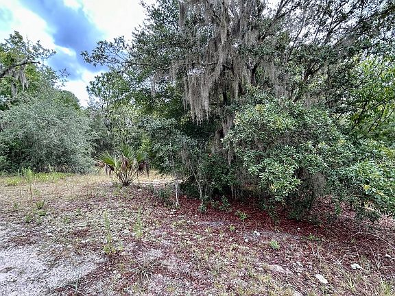 3rd image of 5604 W Junior Ln