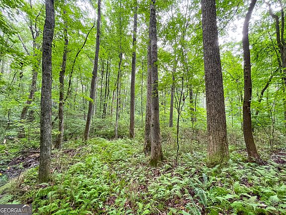 3rd image of 18/ACRE S On Pope Lake Rd