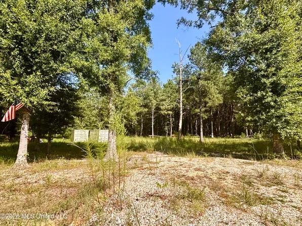 0 Robert Rhodes Rd, Poplarville, MS 39470