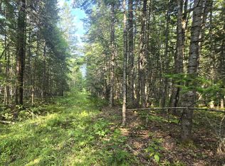 TBD Cummings Lane, Alton, ME 04468