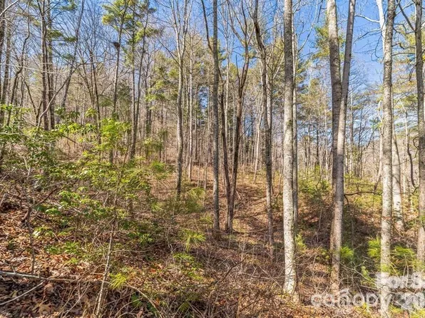 9999 Little Creek Dr, Nebo, NC 28761