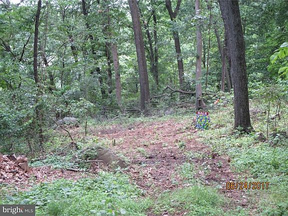 2nd image of 117 3rd Ave