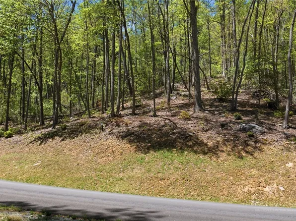 Lot 50 Wildcat Wilderness Reserve Parkway, Deep Gap, NC 28618