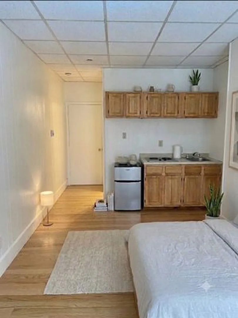 Back Bay Studio on Newbury Street | Sunny, Hardwood Floors & Private Bath — Photo 2