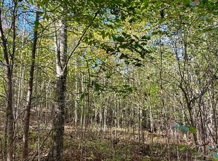 0 Owl Hollow Rd LOT 4, Palmer, TN 37365