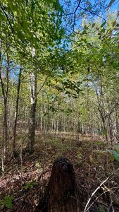 0 Owl Hollow Rd Lot 4, Palmer, TN, 37365