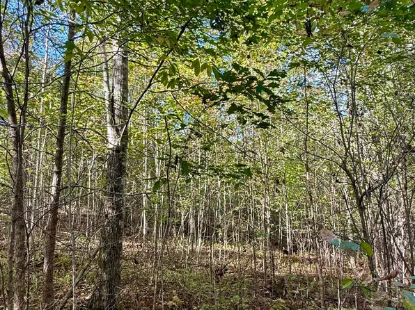 0 Owl Hollow Rd Lot 4, Palmer, TN 37365