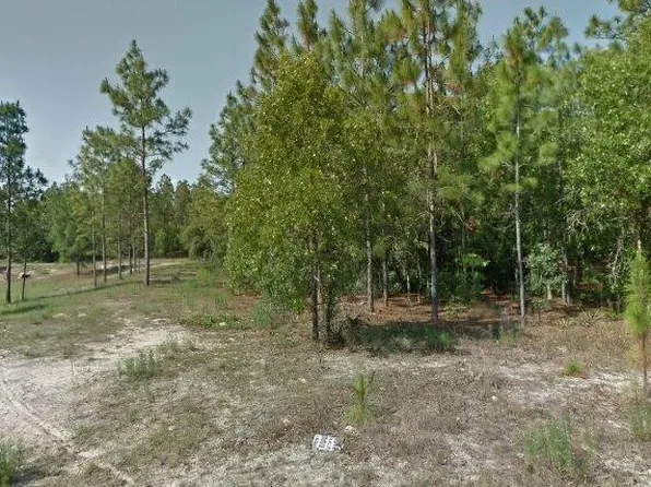 8858 N Vienna Dr, Citrus Springs, FL 34433