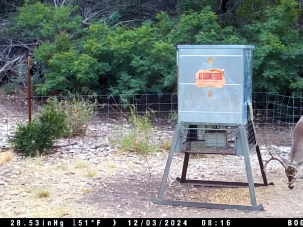 6441 Js Murray Ranch Rd #6, Rocksprings, TX 78880