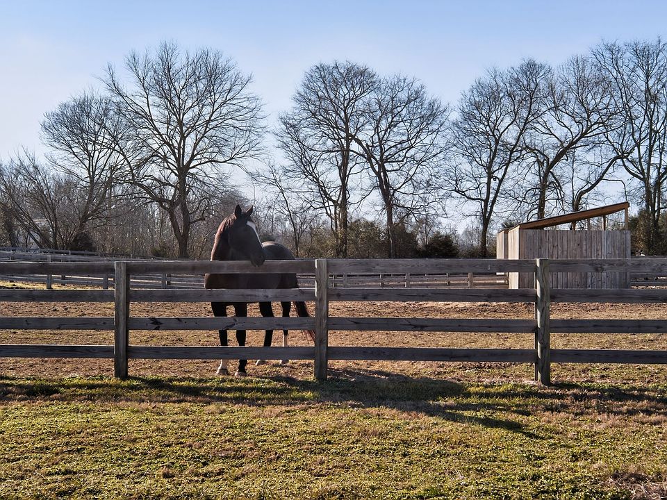 1st image of 441 Matts Hollow Rd