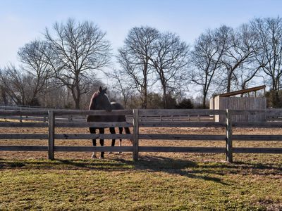 441 Matts Hollow Rd, Manchester, TN, 37355