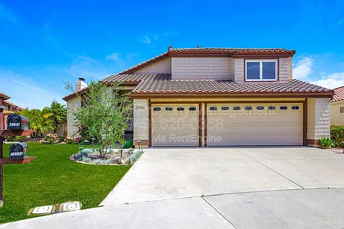 28142 Ambar Photo 1 28142 Ambar Photo 1