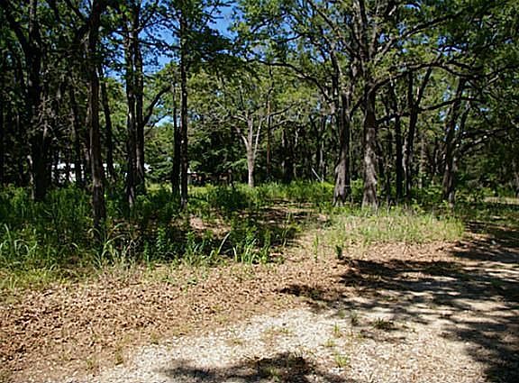 2nd image of 16411 County Road 4018