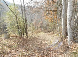 2111 Dick Branch Rd, Robbinsville, NC 28771