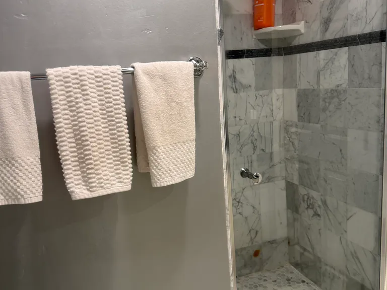 Downstairs bathroom shower