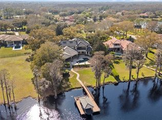 9902 Menander Wood Ct, Odessa, FL 33556