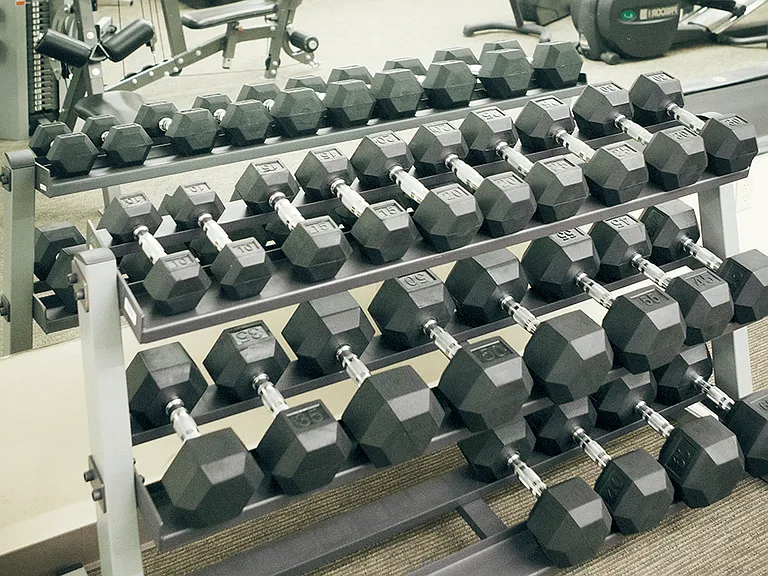 Free Weights!