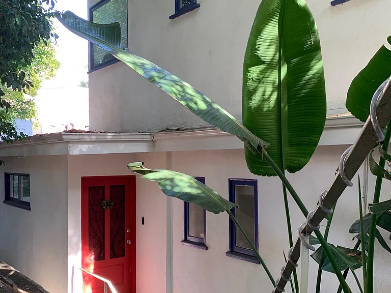 Front of house, from stairs from the street
