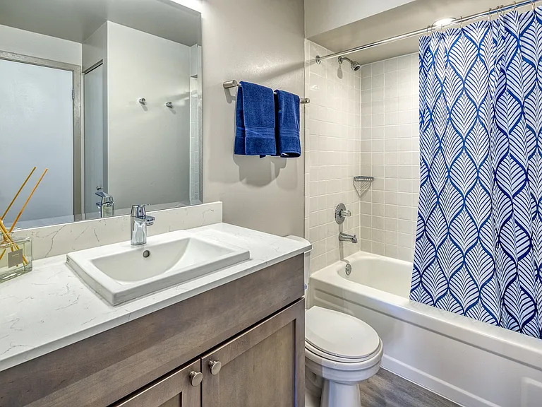 Renovated 1 Bedroom Tower Scene Bathroom