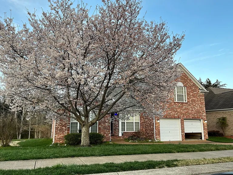 245 Cobblestone Lndg — Photo 1