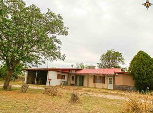 1408 W Hagerman St, Carlsbad, NM 88220