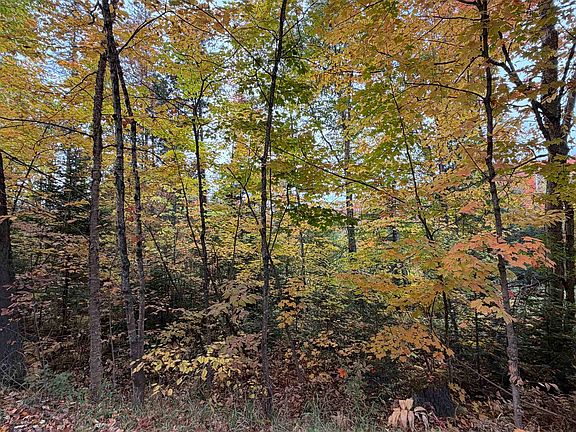 4th image of 0 Shadow Lake Road