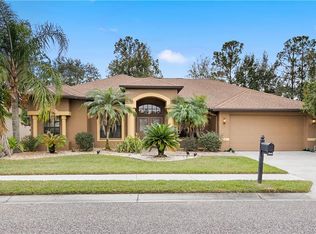 21122 Tangor Rd, Land O Lakes, FL 34637