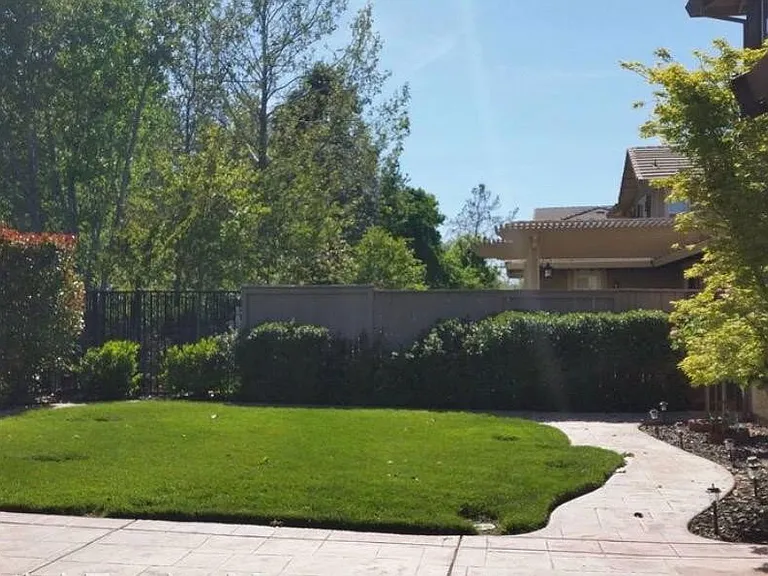 1145 Fergusen Way — Photo 3