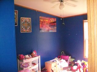 393 Middle Run Rd., Frametown, WV 26623