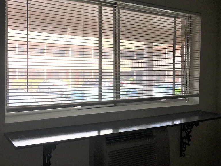Living room window