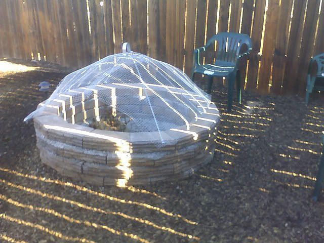 Back Yard Fire Pit