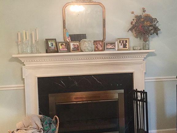 Wood burning fireplace