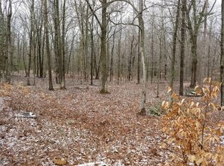 W 11 1/2 Mile Rd, Irons, MI 49644