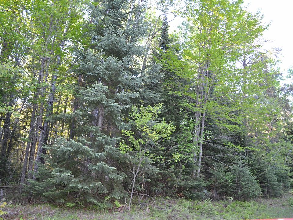 2nd image of Tbd Pond Lane