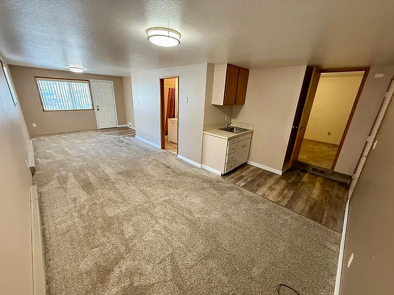 1009 Chestnut St — Photo 12