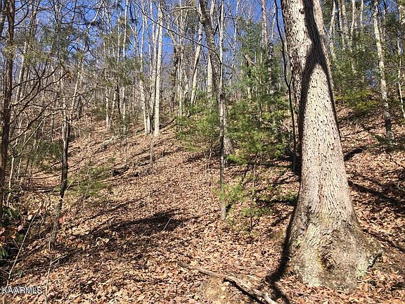 2nd image of LOT 18 Alpine Dr