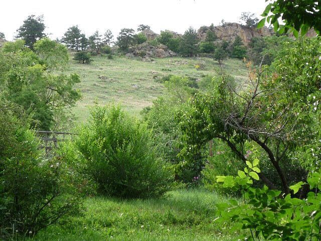2nd image of 2817 3rd St