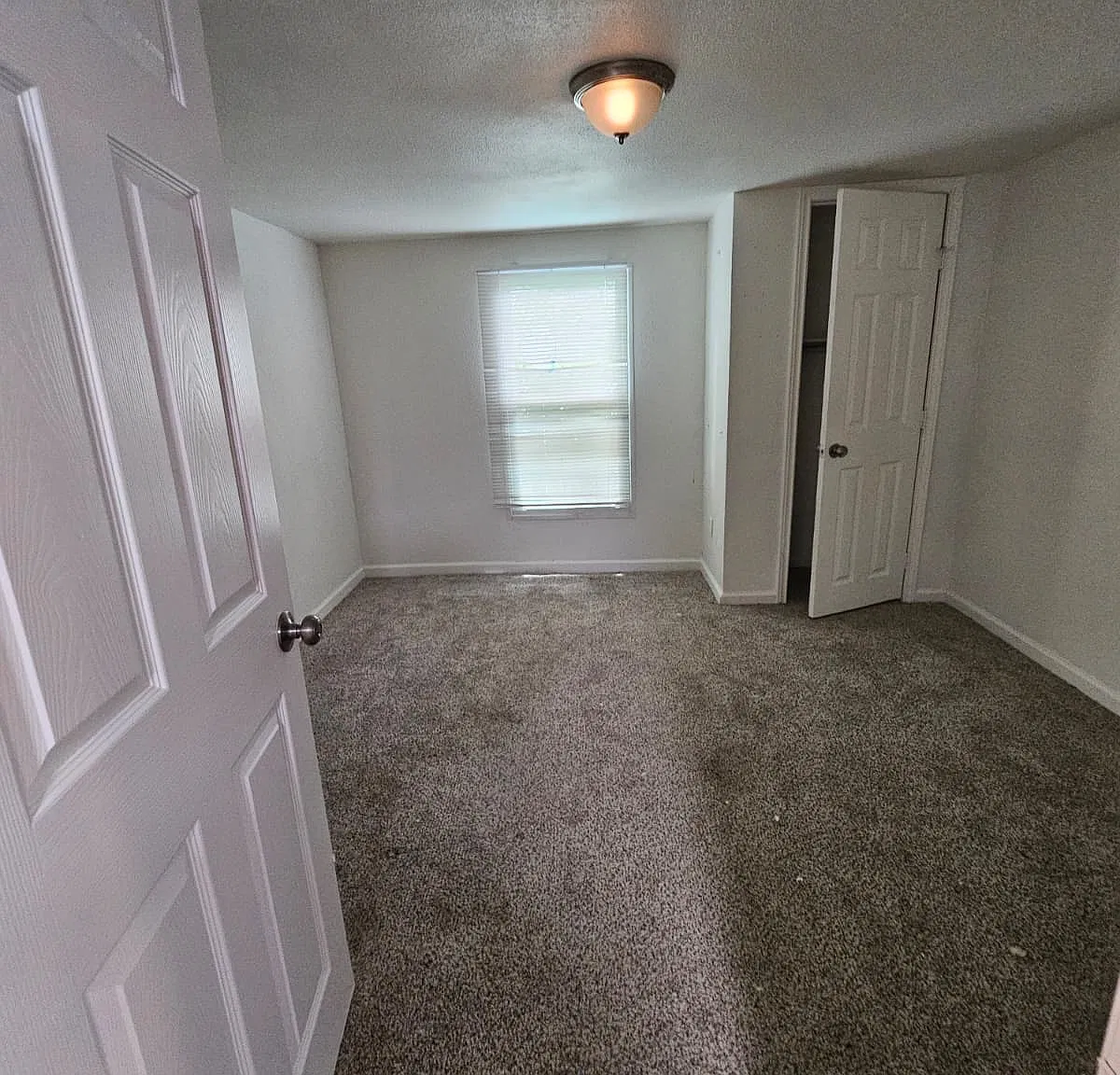 3 bed, 1300 sqft, $1,650 — Photo 4