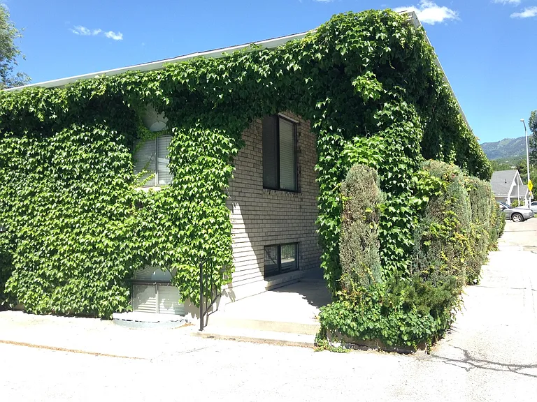 2026 S Orchard Dr — Photo 22