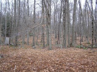 Wild Cat Rd, Denning, NY 12725