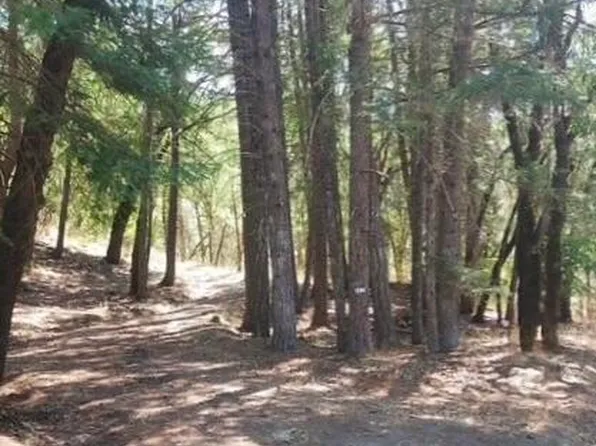 1701 Van Duzen Rd, Mad River, CA 95526